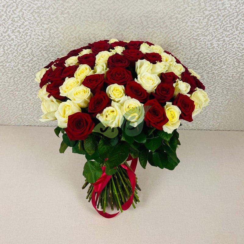 101 красная и белая роза Россия в букете