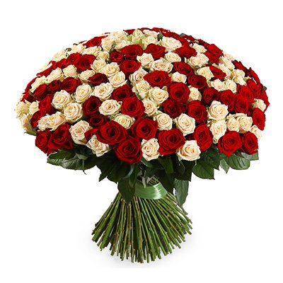 Букет 151 красная и белая роза