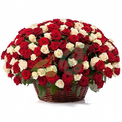Белые и красные розы в корзине с доставкой