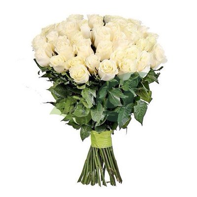 Белоснежные белые розы (Эквадор)