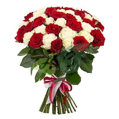 51 красная и белая роза в роскошном букете