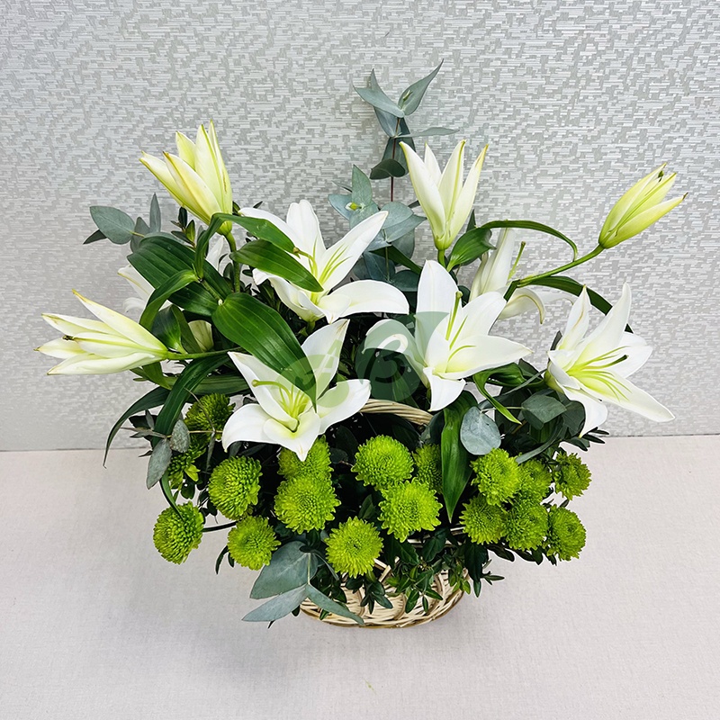 Лилии и зеленые хризантемы в корзине