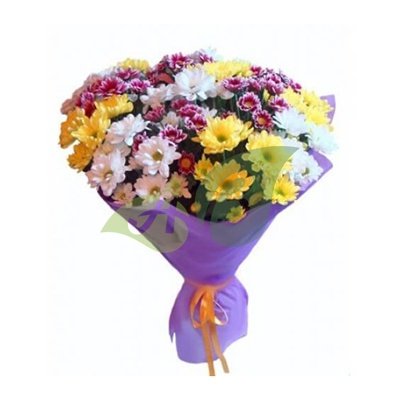 Букет 13 разноцветных кустовых хризантем Пестрый