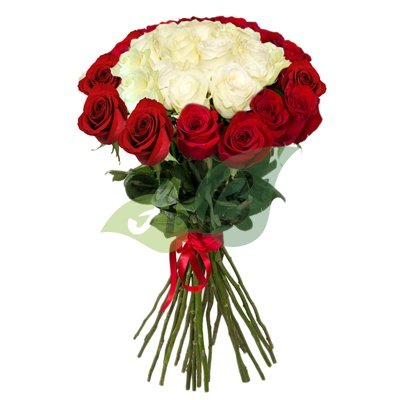 Букет из 25 белых роз в обрамлении красных