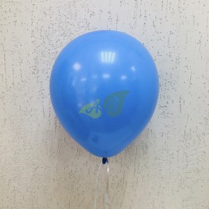 Воздушные гелиевые шарики пастельных оттенков