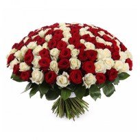 Букет-микс из 201 красной и белой розы