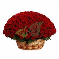 Огромная корзина красных роз